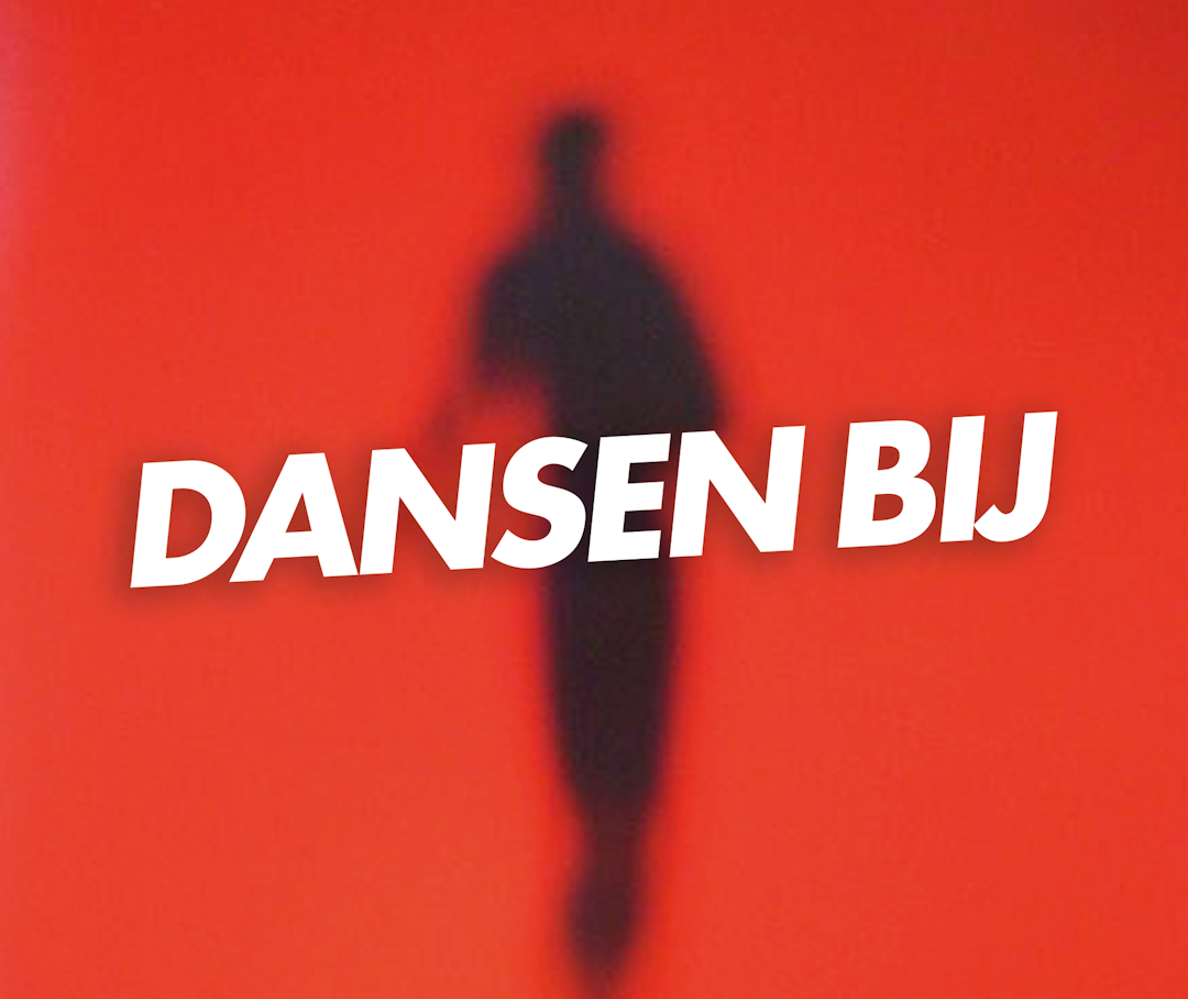 cover image of Dansen Bij